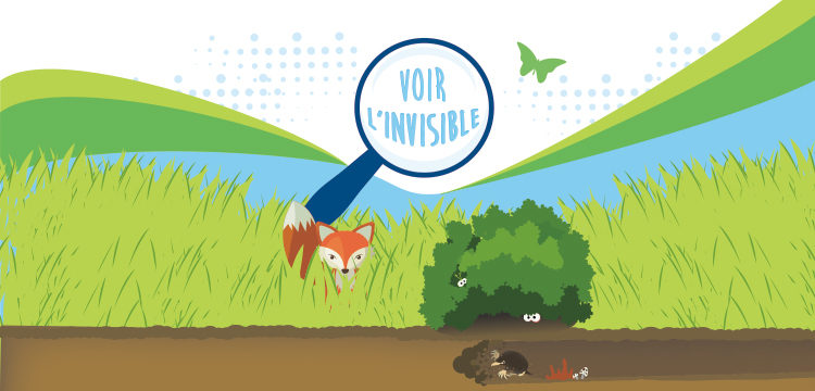 Fete De La Nature 2018