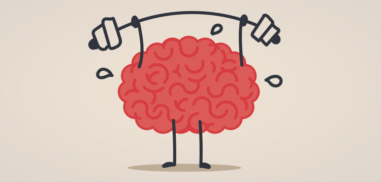 Cerveau