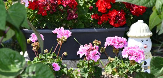 details-coup-de-coeur-n2