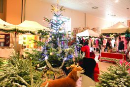 Le Marché de Noël